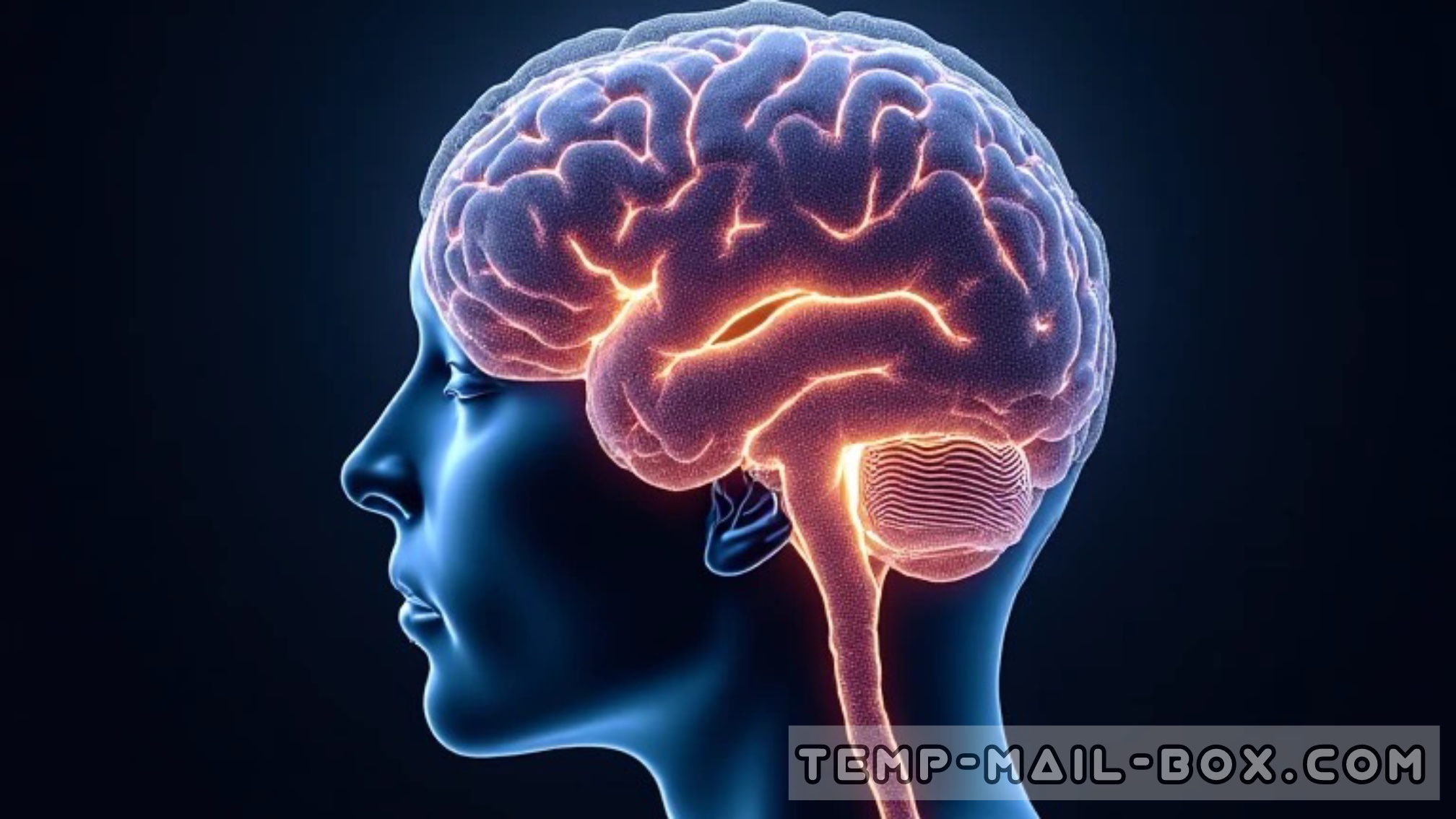 7 Amazing Facts About the Human Brain