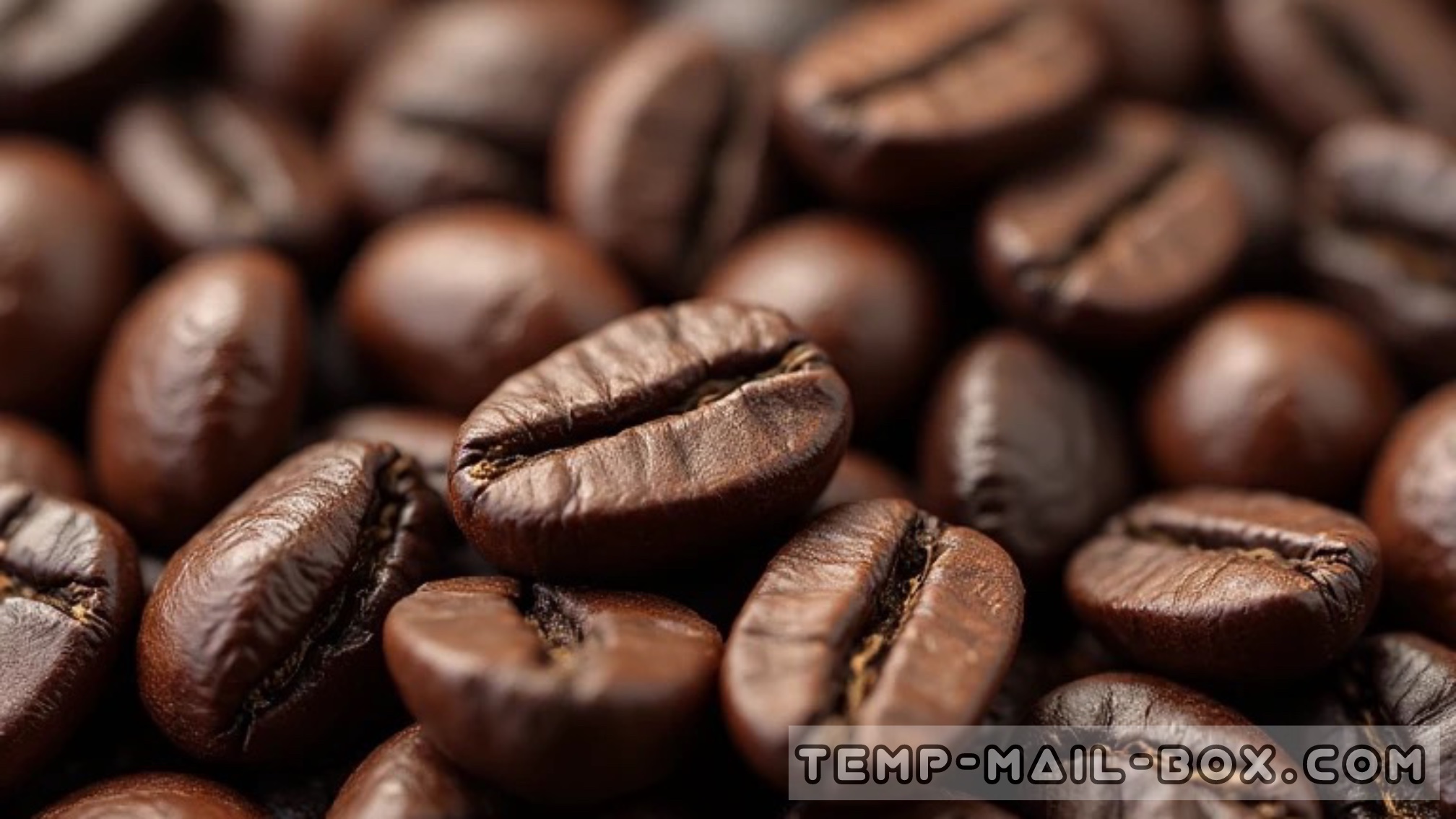 The Most Expensive Coffee in the World