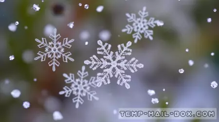 Can You Eat Snow?