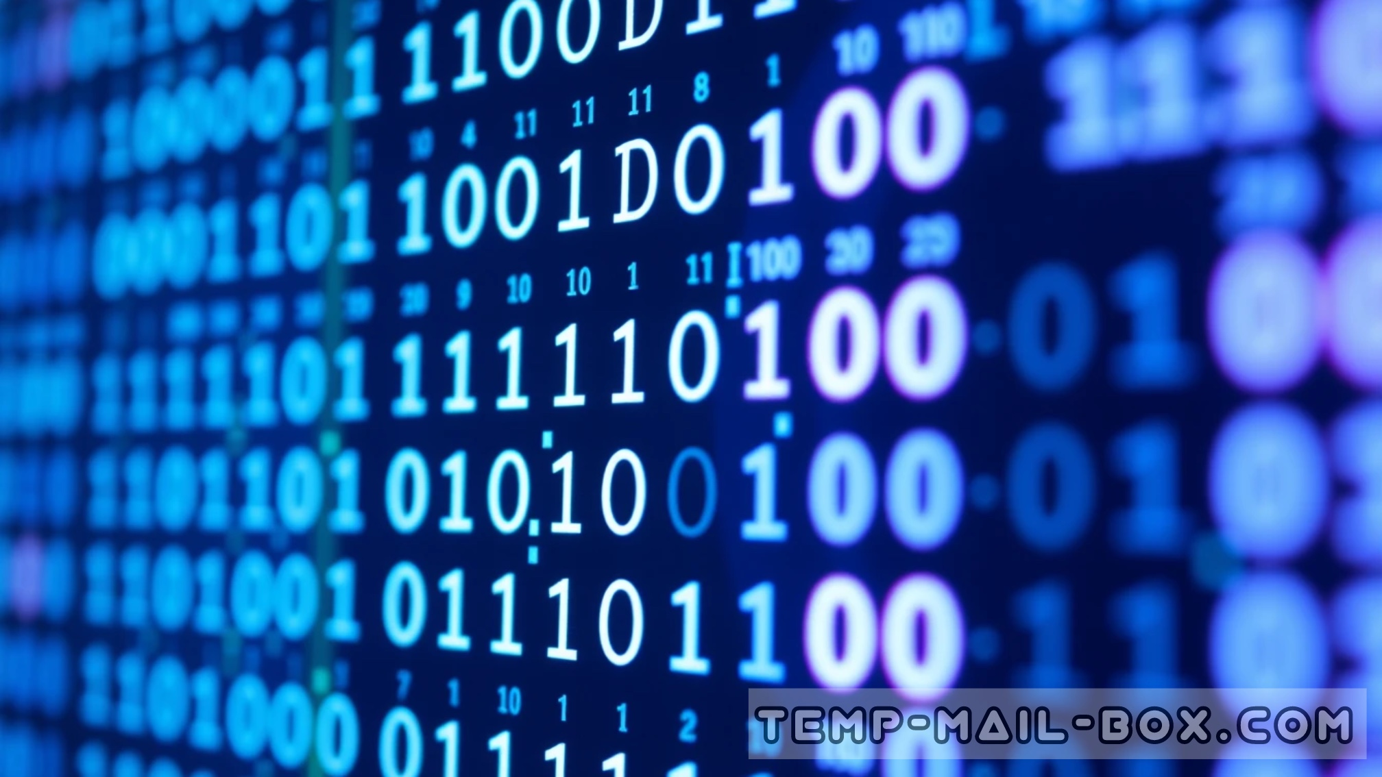 The Origins of Binary Code